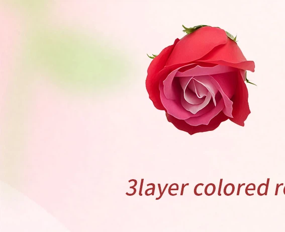 3layer colored rose